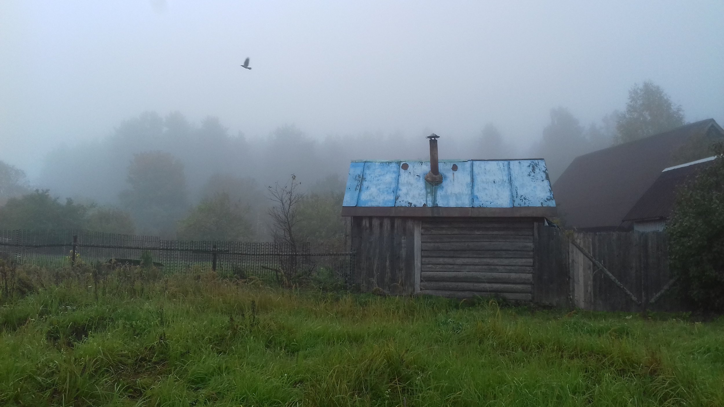 Туманное утро в деревне. Псковская область