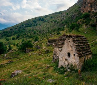 Последнее пристанище