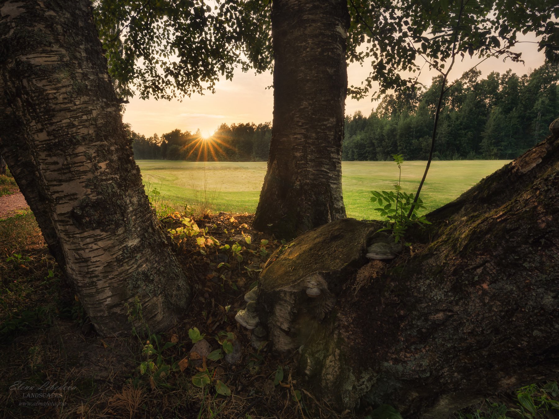 В лучах августовского заката