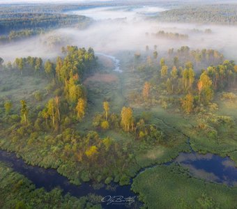 Первый осенний туман