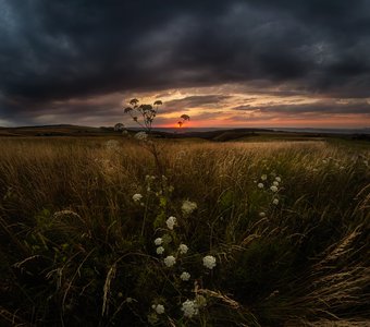 Сгущались тучи, солнце гасло