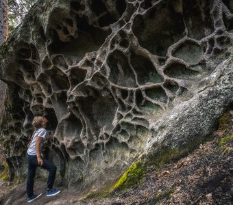 "Каменный лес" - останцы в Ширинском районе Хакасии