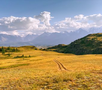 Курайская степь, Алтай.