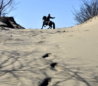 Памятник императрице Елизавете Петровне в Балтийске