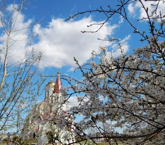 Нежность весны