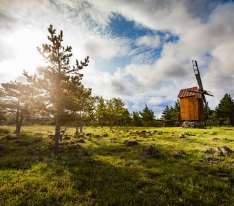 Эстония, остров Сааремаа. Ветряная мельница на поле.