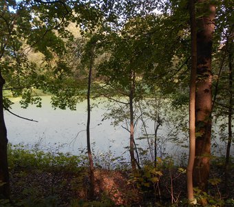 Осенний пруд в Пущино
