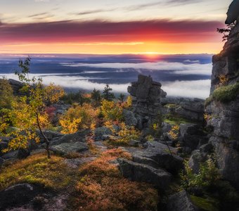 Осенний рассвет