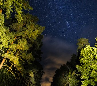 Куршская коса, Россия