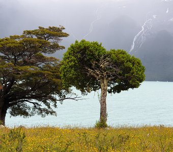 Патагония, ледниковое озеро