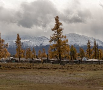 Осенний Курай.