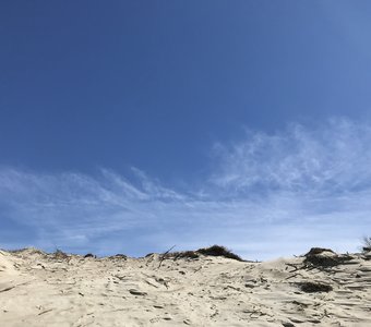 Куршские дюны