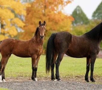 Мама и дочка :)