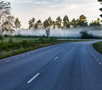 Эстония, остров Сааремаа. Туман на дороге.