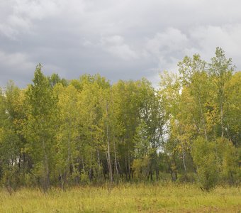 Палитра парка