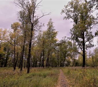 По тропинке в осень