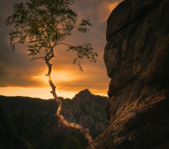 Заповедник Столбы
