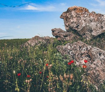 Каменные глыбы