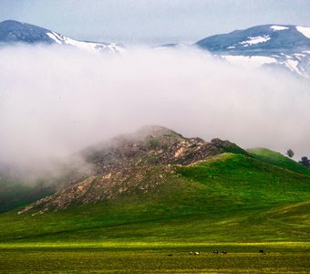 С первыми лучами солнца