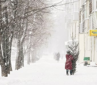 Предновогодние будни