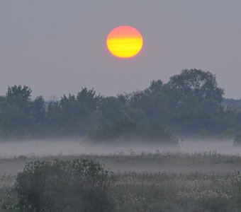 Нижегородские   туманы .