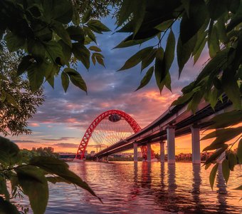 Живописный мост. Москва