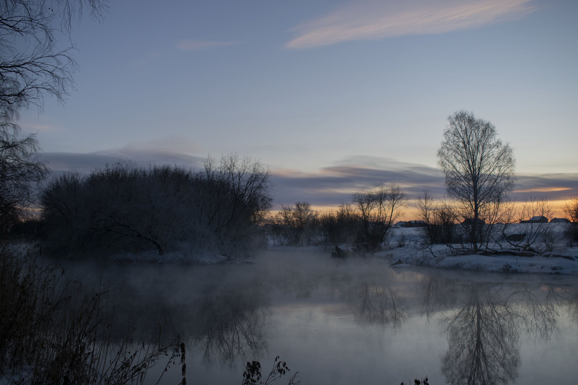 Одинокое дерево на берегу