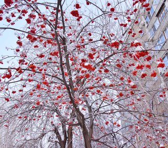 Под эгидой природы