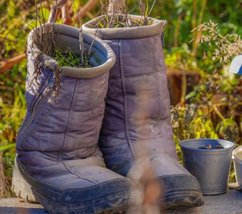 Сапоги-Садоводы