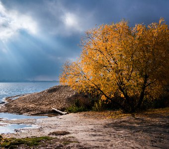 В лучах осеннего солнца