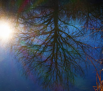 Смотрю в тебя как в зеркало.