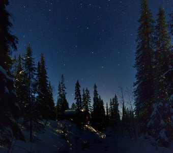 Ночь в северном лесу