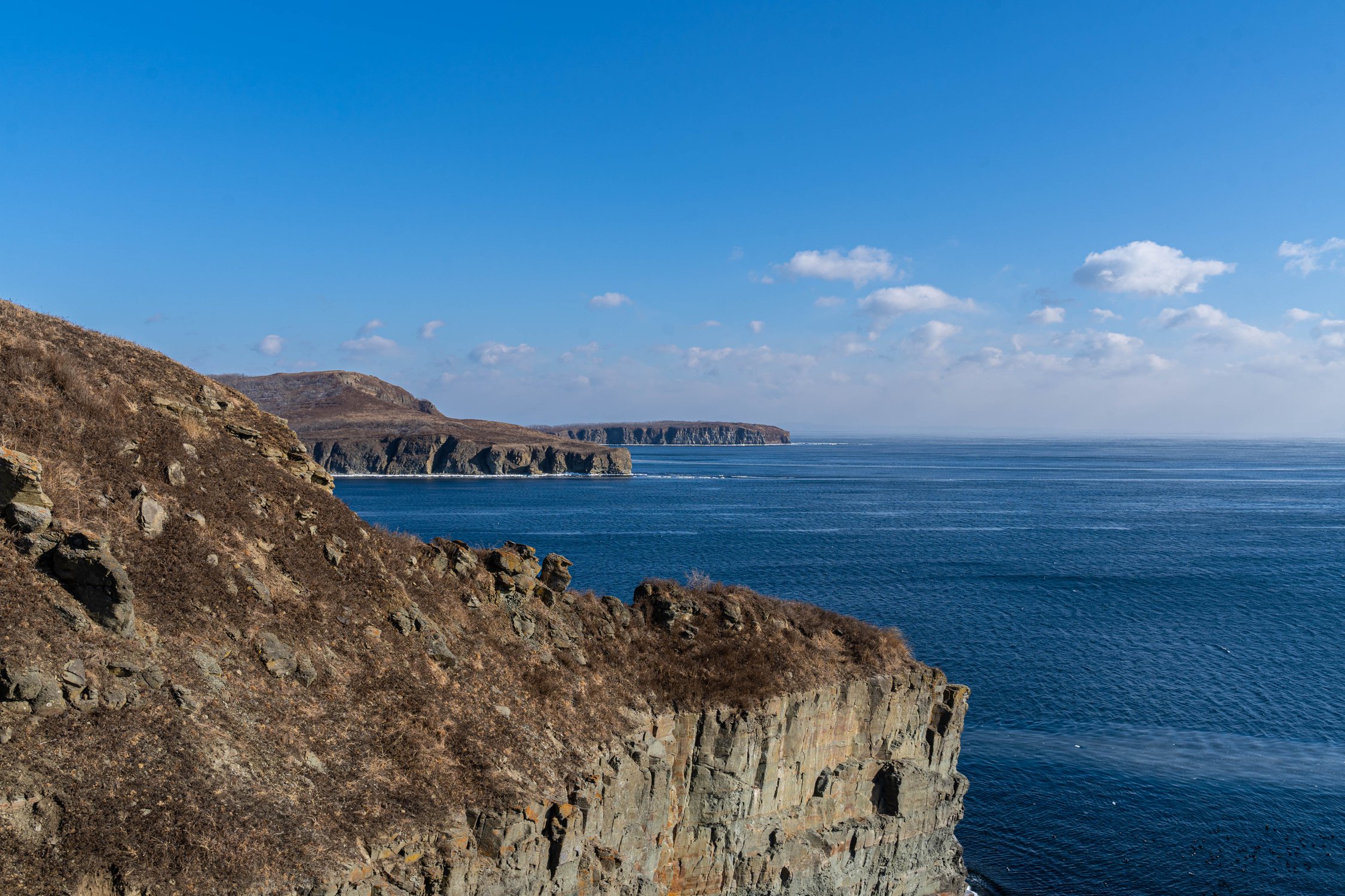 Дальше только океан