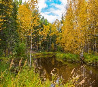 Тихая осень