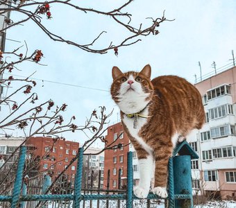 Провинция прекрасна в марте - до марта еще долго жить.