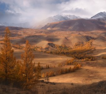 Алтайская осень