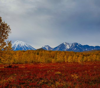 Осенний пожар