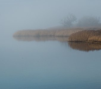 Туманное утро в озерном крае