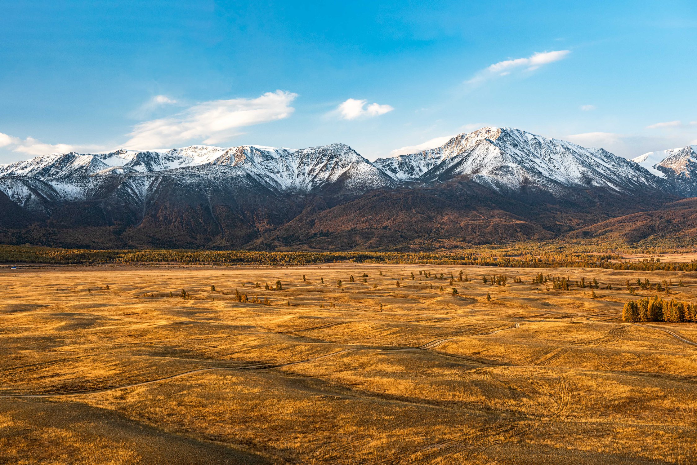 Курайская степь