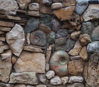 Вот так, раковины! Аммониты-окаменелости древних малюсков            Республика Адыгея, январь 2021