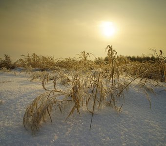 Январь в Мещёрской стороне