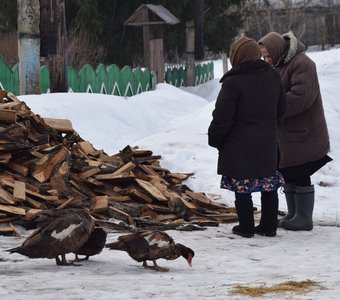 Дрова привезли