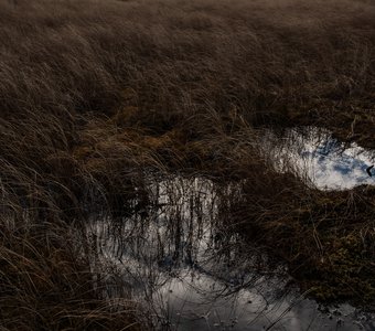 Ленинградская пустошь Смауга