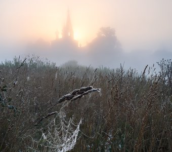 Вестники осени