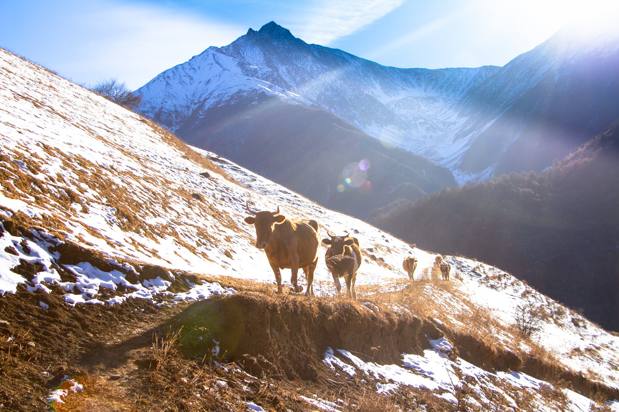 Неожиданная встреча