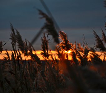 Закат догорает