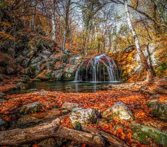 Осень в лесу