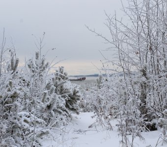 Замерзающий корабль