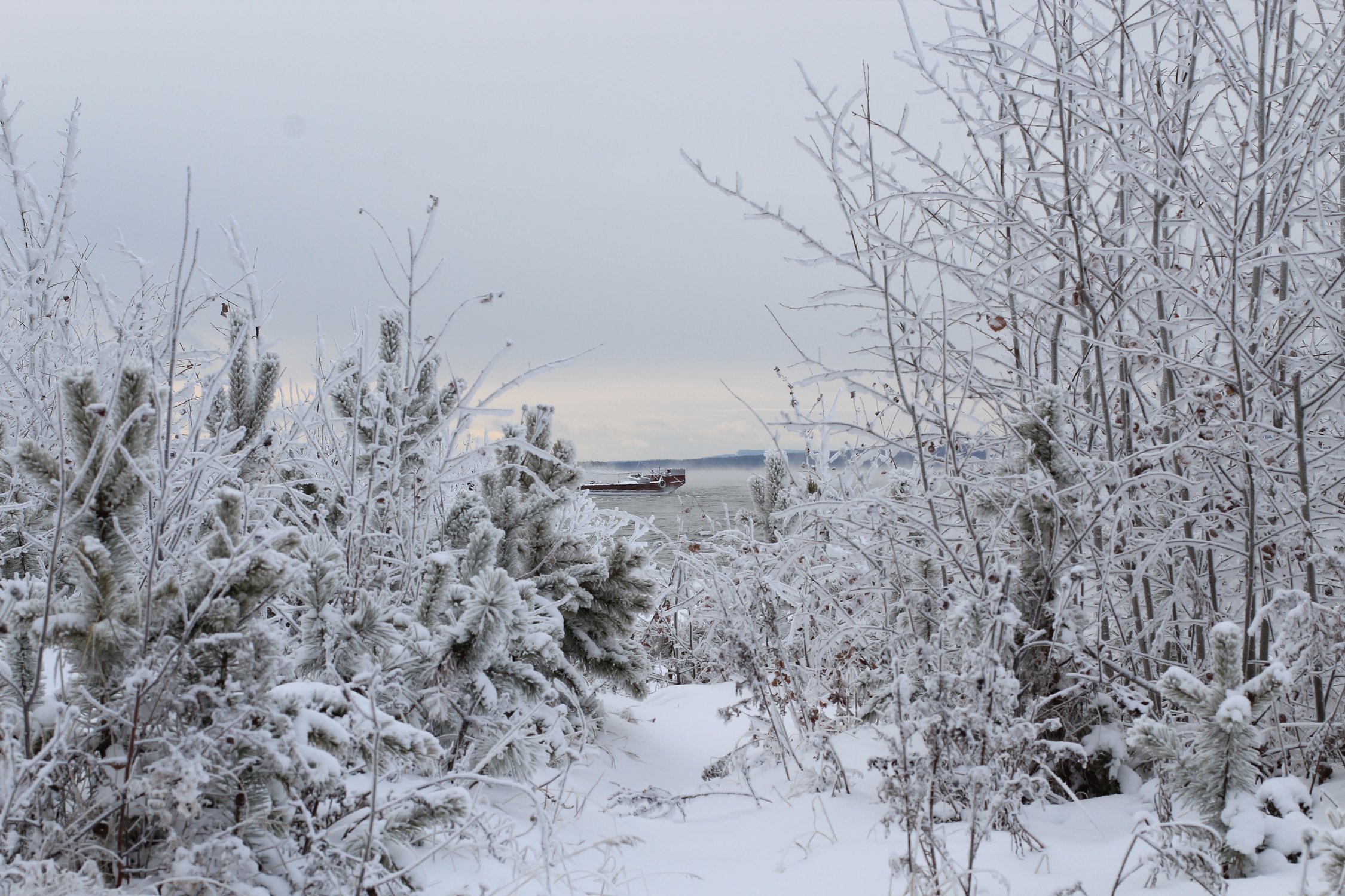 Замерзающий корабль