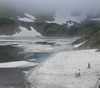 Голубые Озера, Камчатка